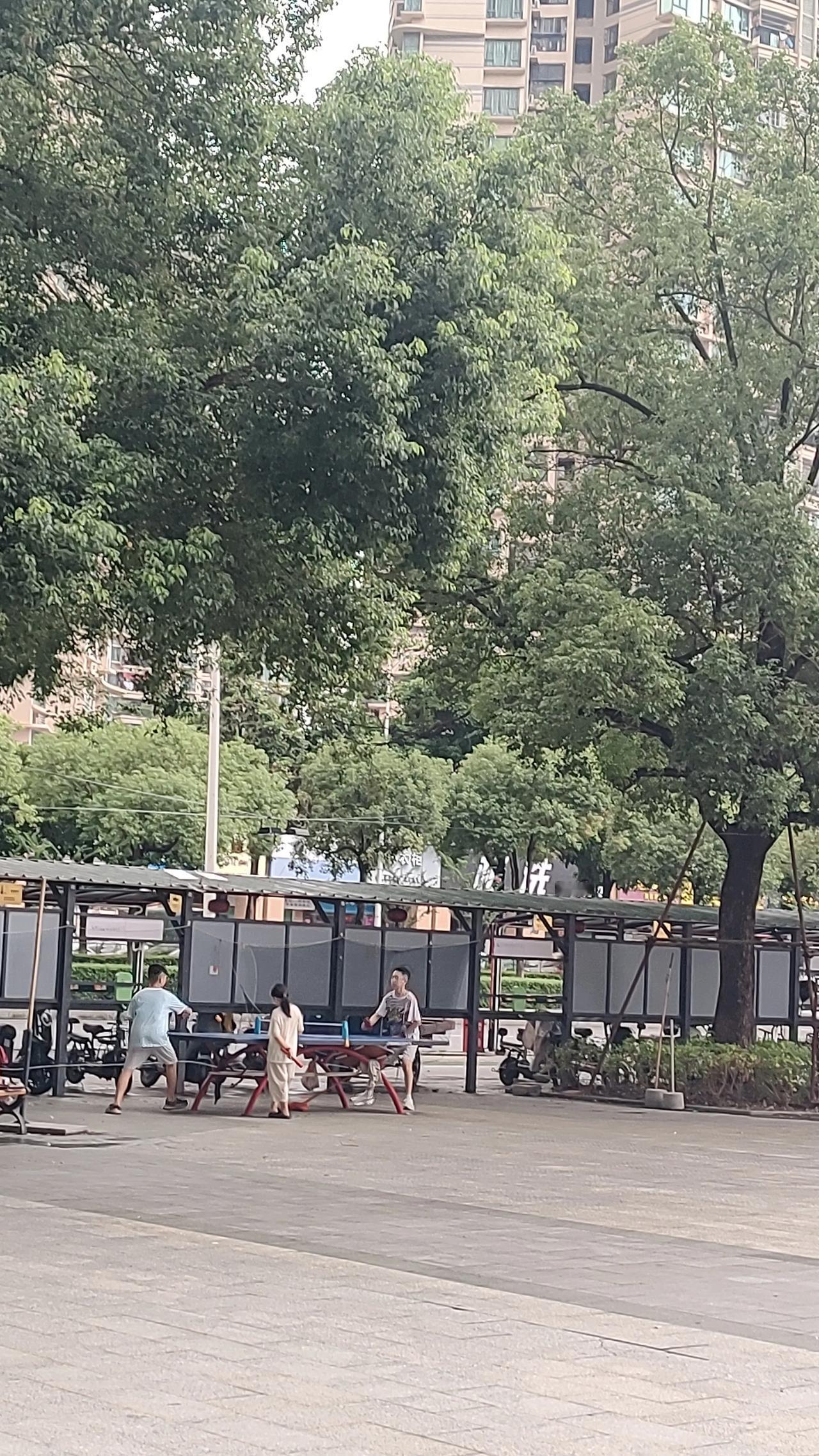 小朋友在车道大路边乒乓球台打球。

以前路过，以为乒乓球台只摆设，因为四周无遮挡