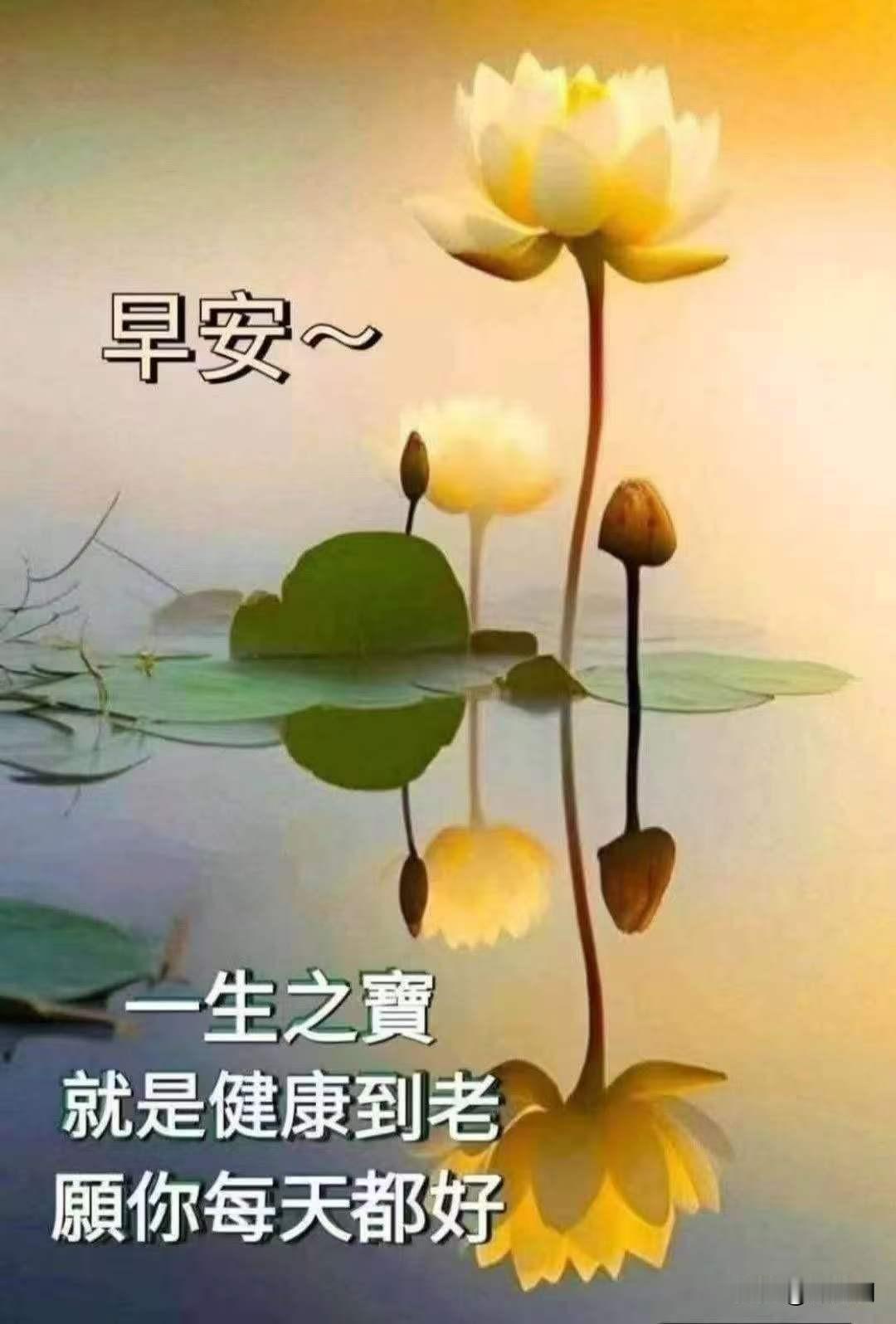 防城港的浪从不会纠结拍岸的角度，只管顺着风往前涌。
别揪着没做好的小事反复内耗，