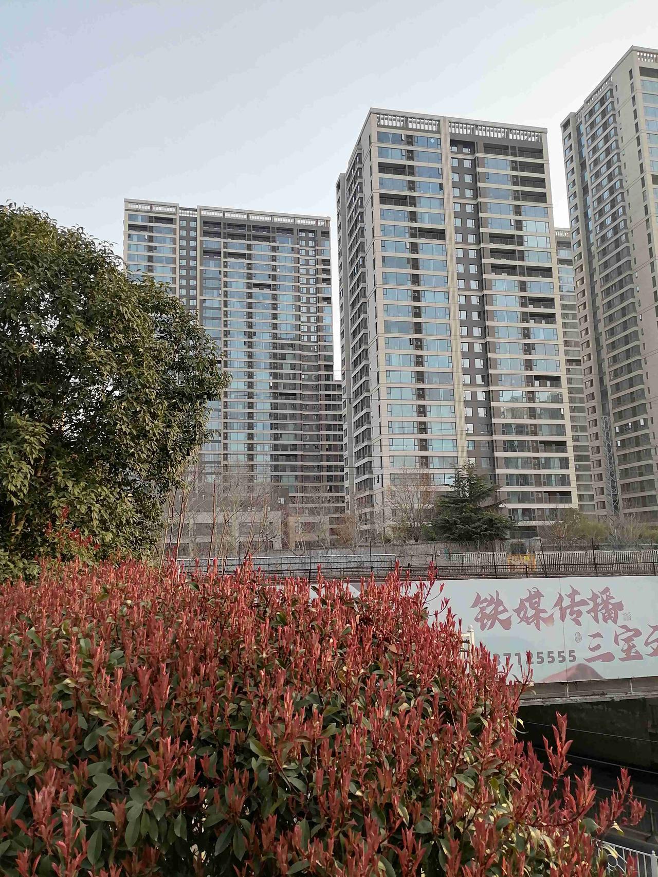 春暖花开，望着远处的建筑，看着就像一幅美丽的风景画！我的今日状态：😁轻松愉快