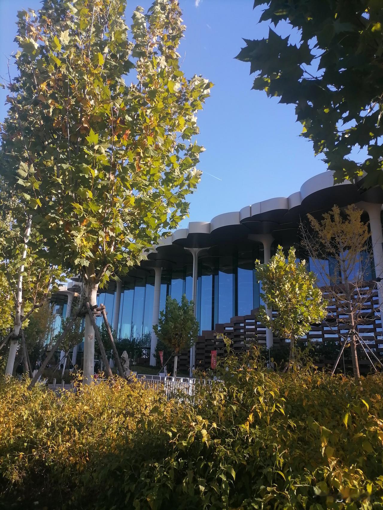 日常炒股，闲读经书，这套道家精要，估计这辈子都很难读完。

最喜欢午后暖阳下，在