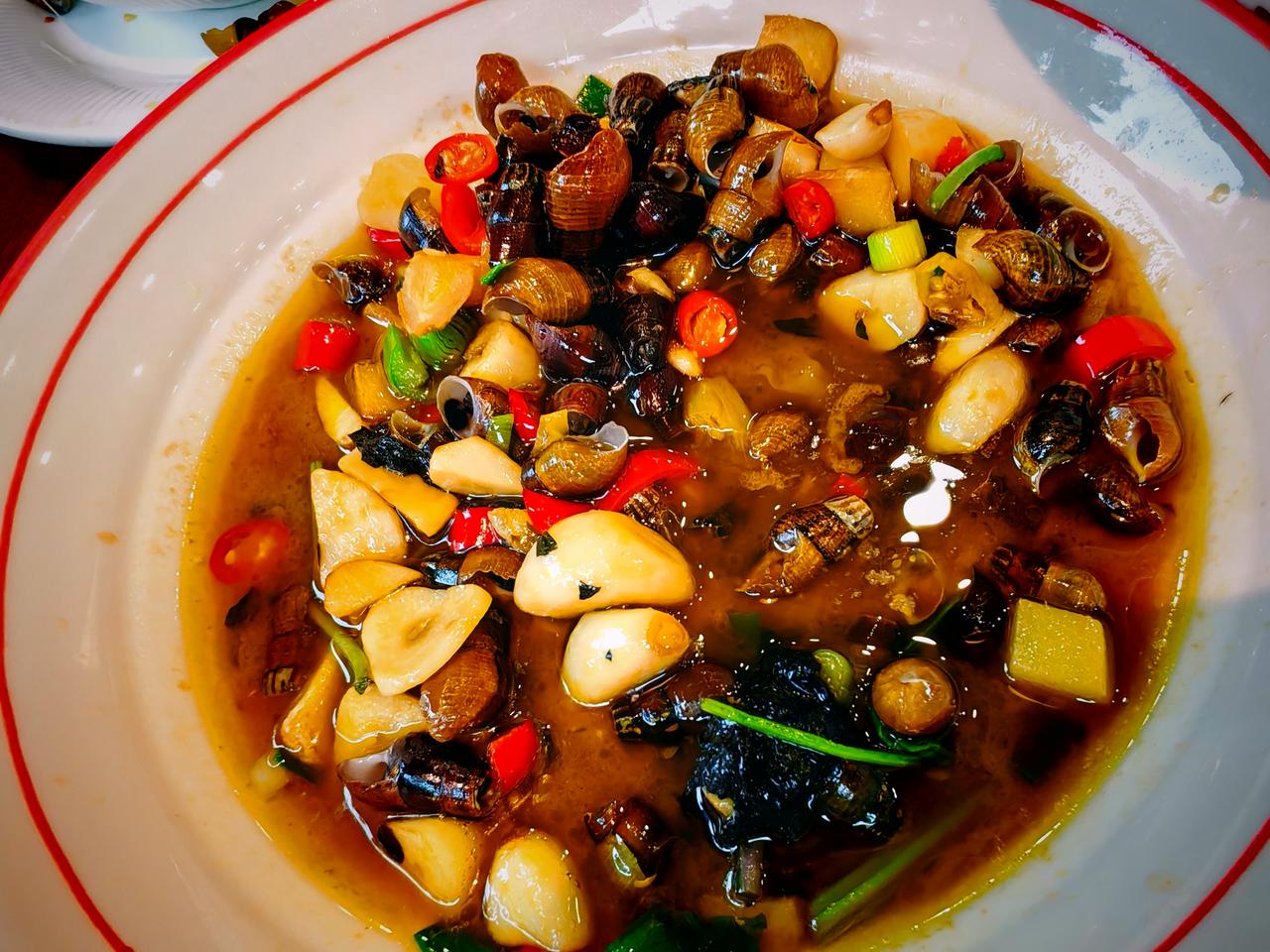 春日生活打卡季