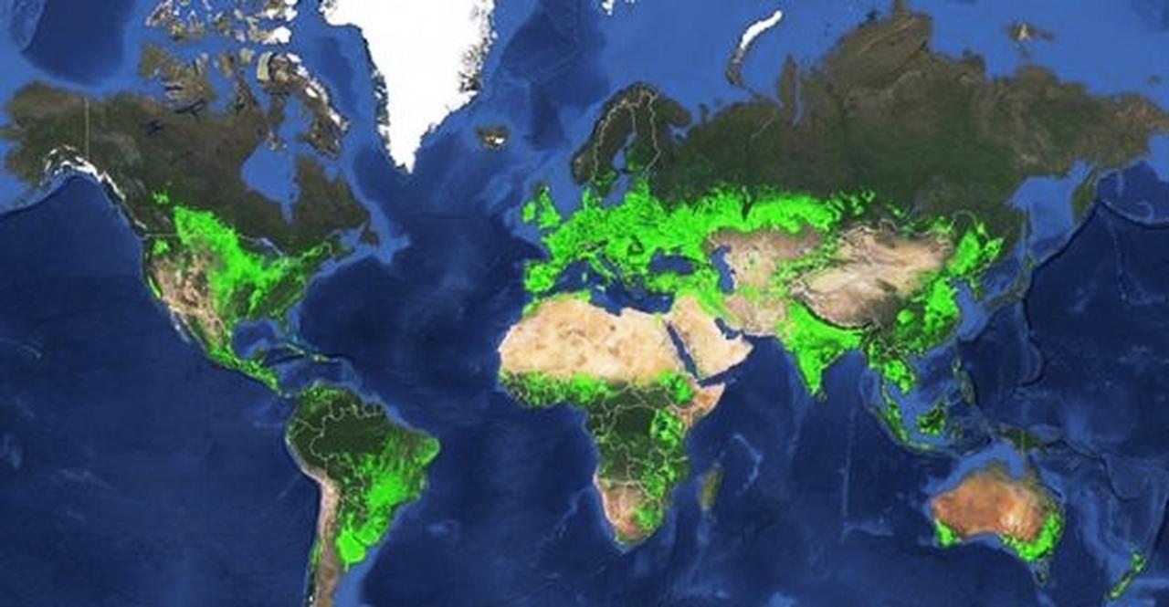 世界主要国家的耕地面积

1:美国:167万平方公里
2:印度:154万平方公里
