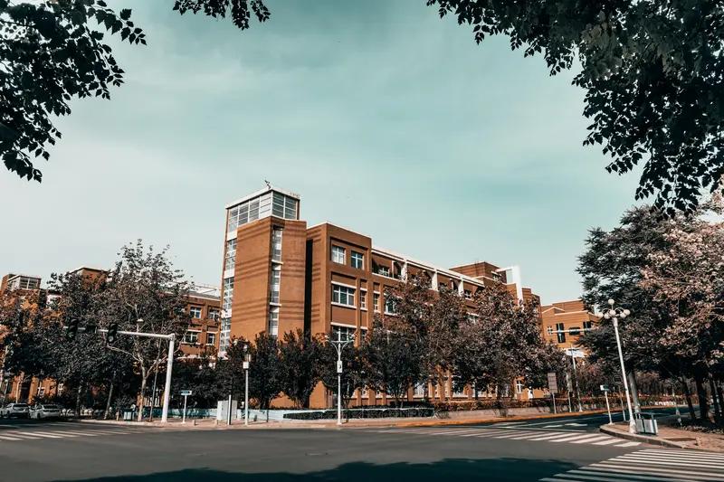 写作文时，好的开头能快速抓住读者注意力，甚至为全文定调。分享几个通用又实用的开头