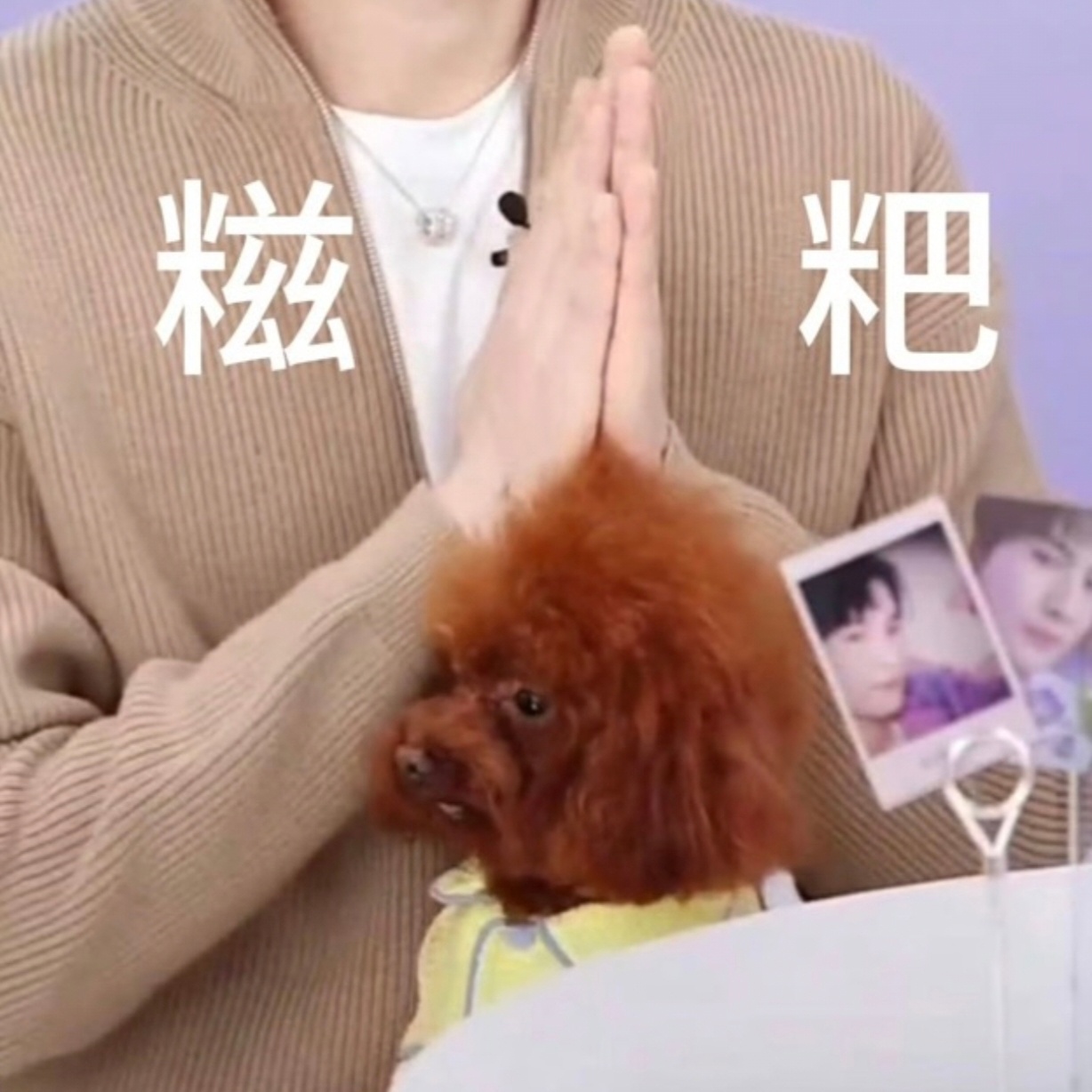 我笑得想死了，这大校长的瓜怎么没够，真有lyp小号，我吐了 