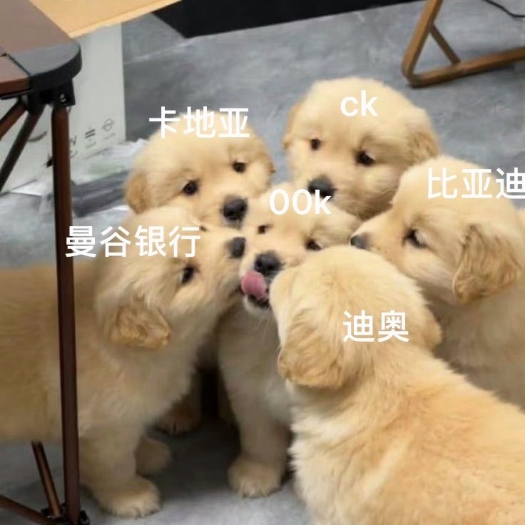 感谢奶奶奶奶奶，邝玲玲的天使金毛，活粉多就是好，让我也爽到了，一下就完成了，我都