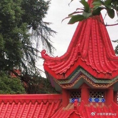 清凉小池，盘坐一仙子；亭亭玉立，柔美千万娇；雨中英姿，飒爽迷人眼：群芳妒忌，红妆