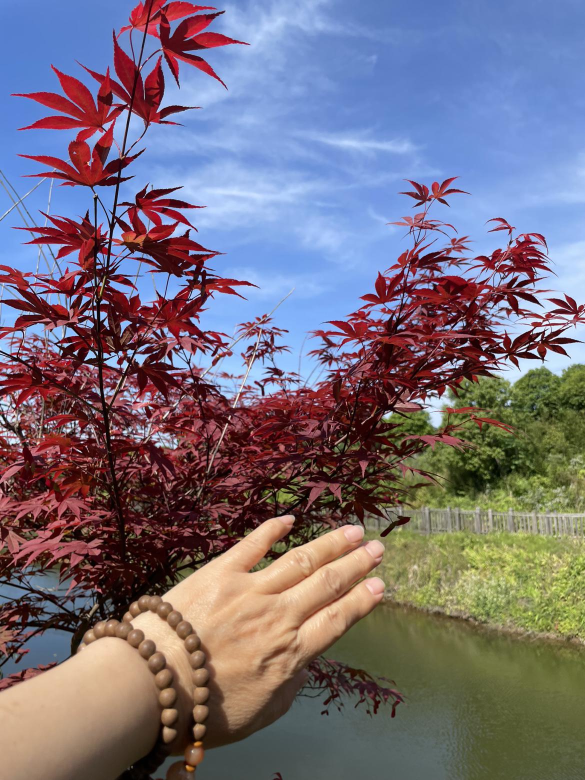 我的今日状态：😁轻松愉快
我这里的天气：☀️晴天
五一假期就这样不知不觉中结束