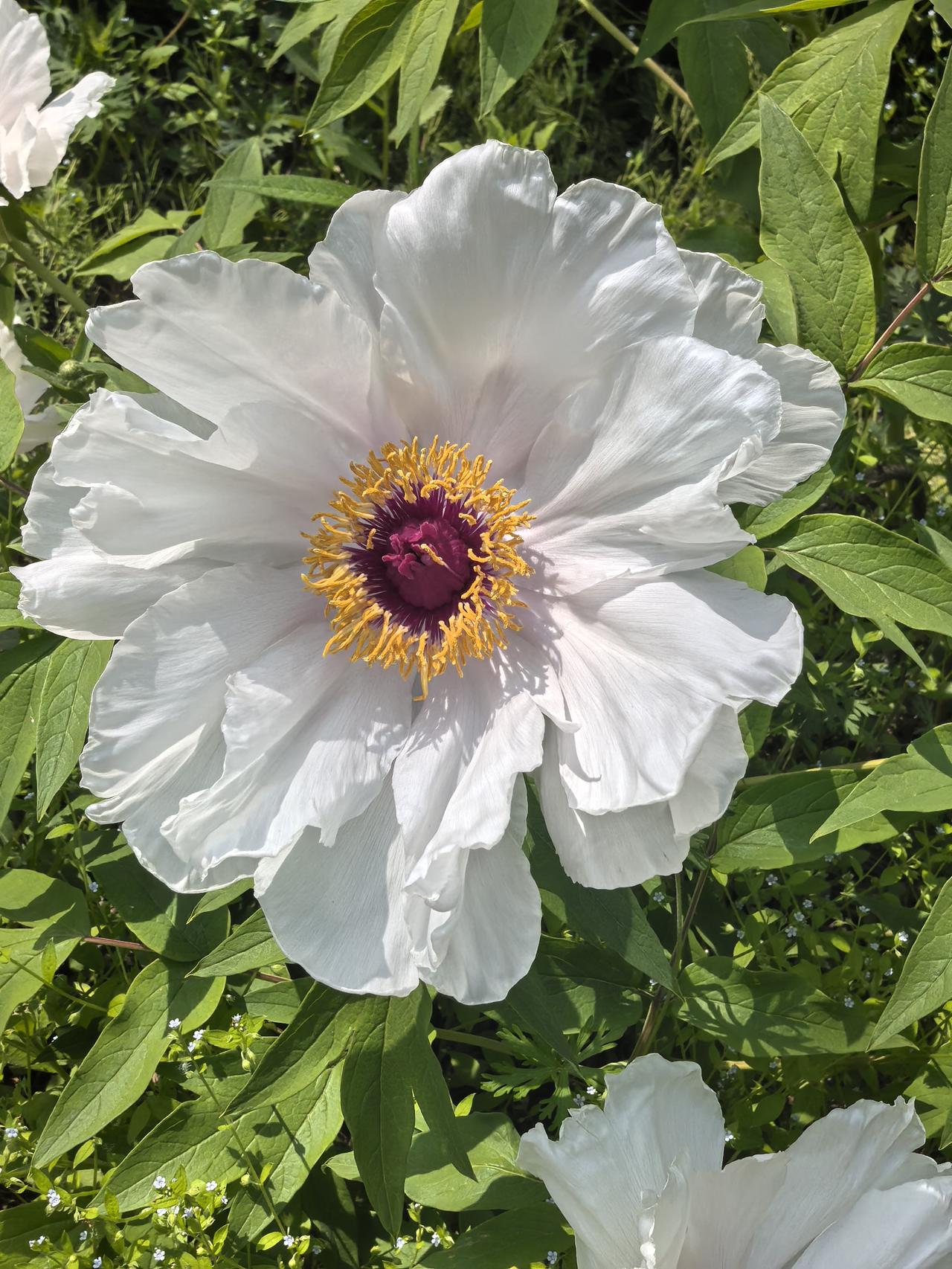 为什么一卖就涨，一买就跌？不是庄家盯着你，是你无法屏蔽市场噪音！
炒股时是否遇到