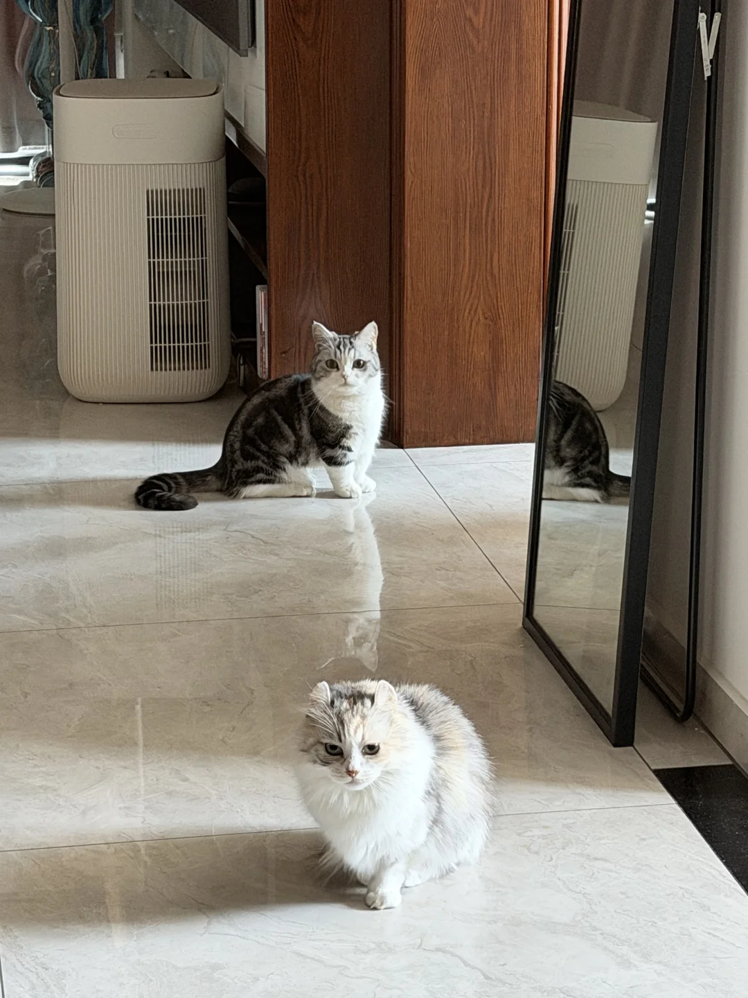 妈妈酱出门打猎要注意安全喔