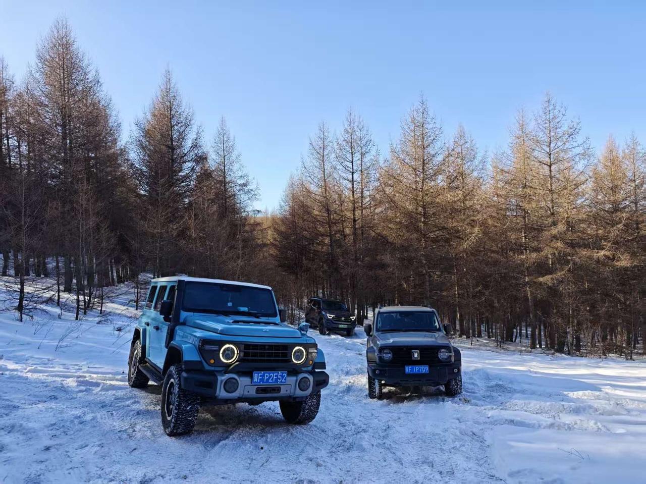 这是一个最能刺痛成年人的灵魂拷问。因为我们真正想逃离的，从来不是工作本身，而是被