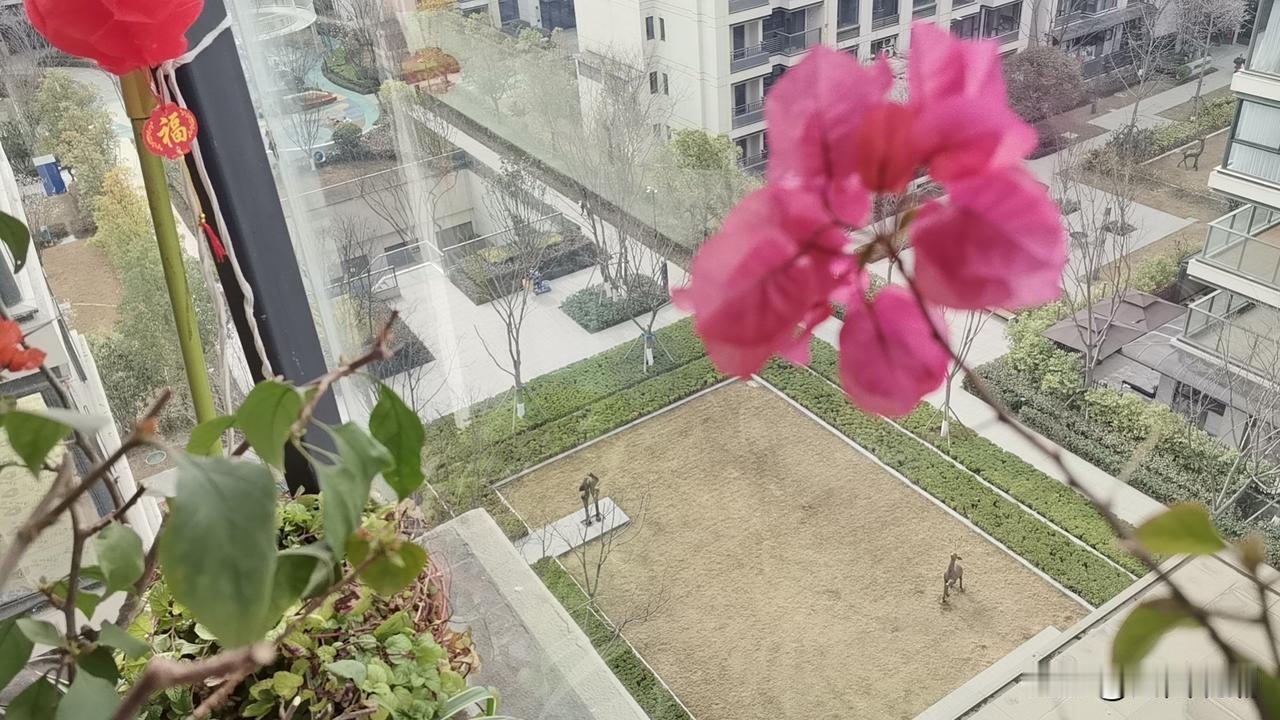 暖阳暂别！绵阳今晚起降雨降温 最高温降5℃
 
2月27日，绵阳市气象台发布预报