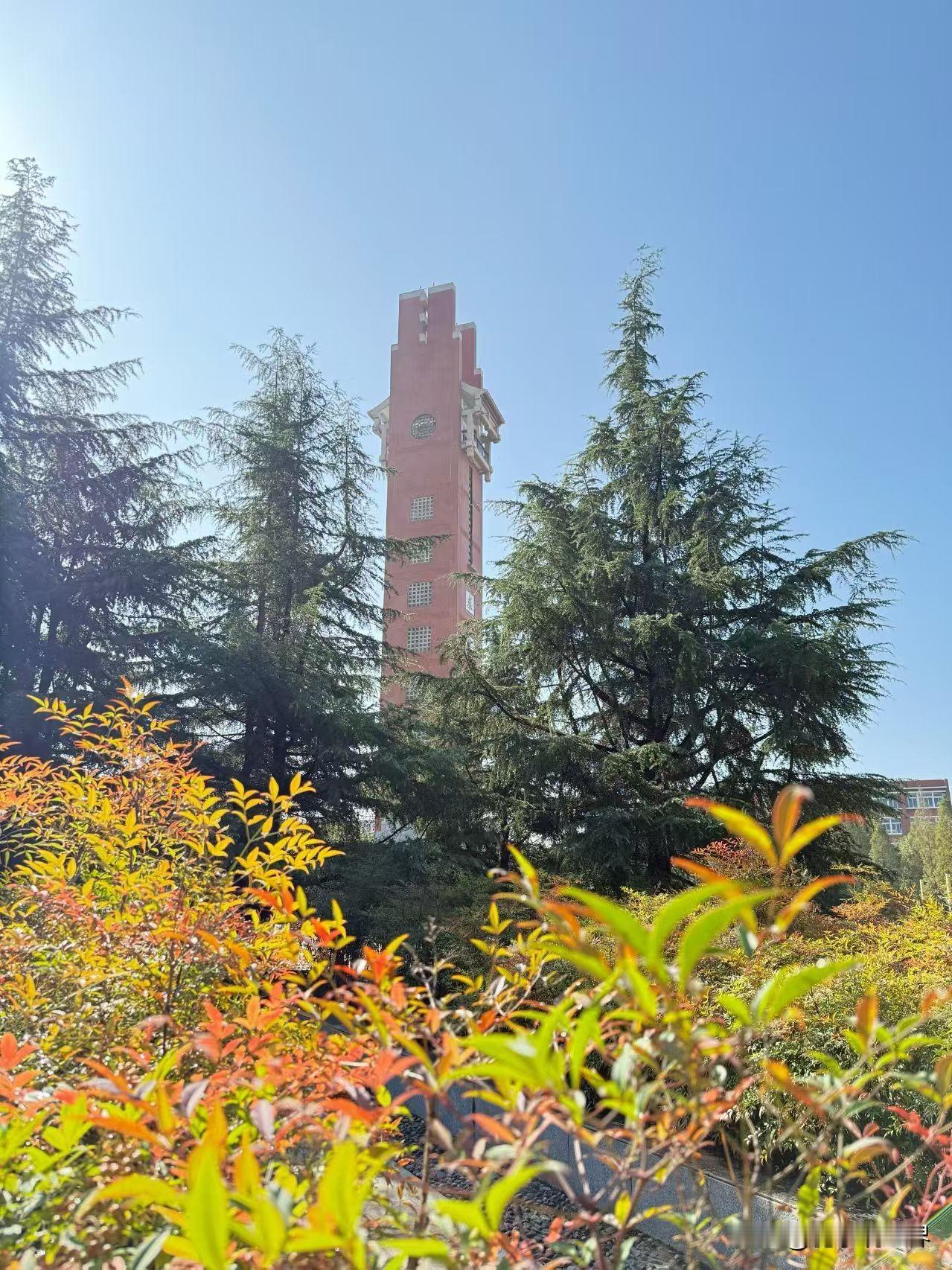 秋天的色彩，是美妙动听的旋律，温暖而治愈。