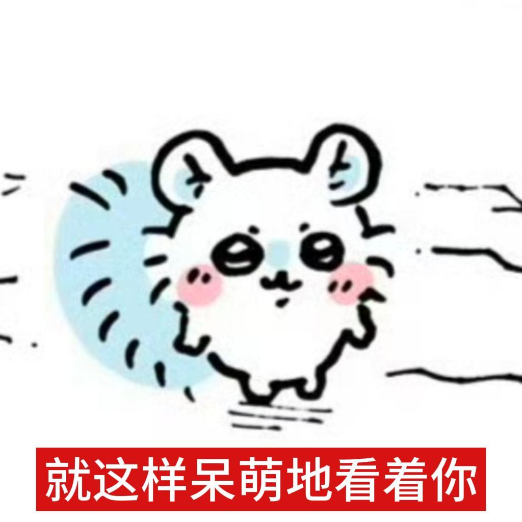 呆萌de小鼠鼠23432 