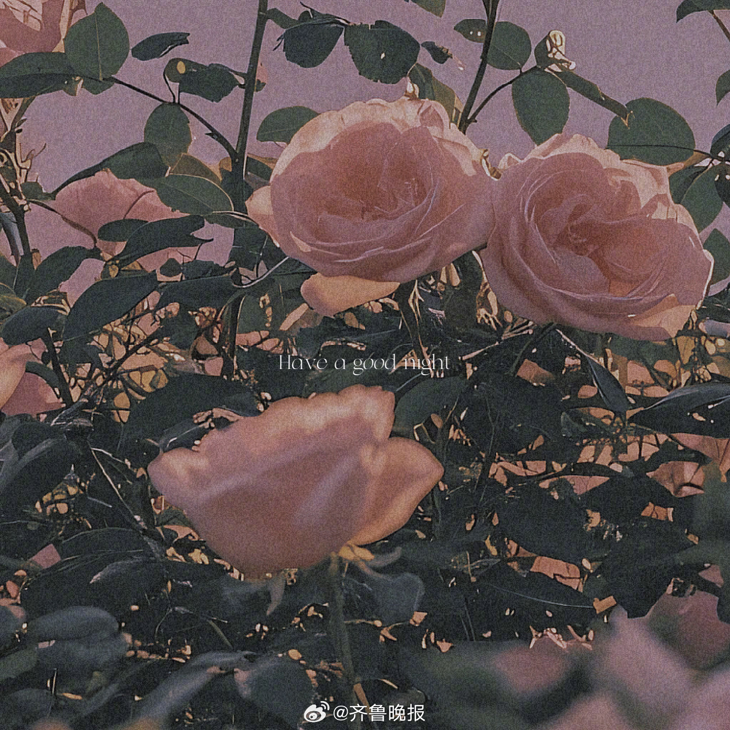 不要太在意过去下次做好就行[给你小心心]#晚安# ​​​