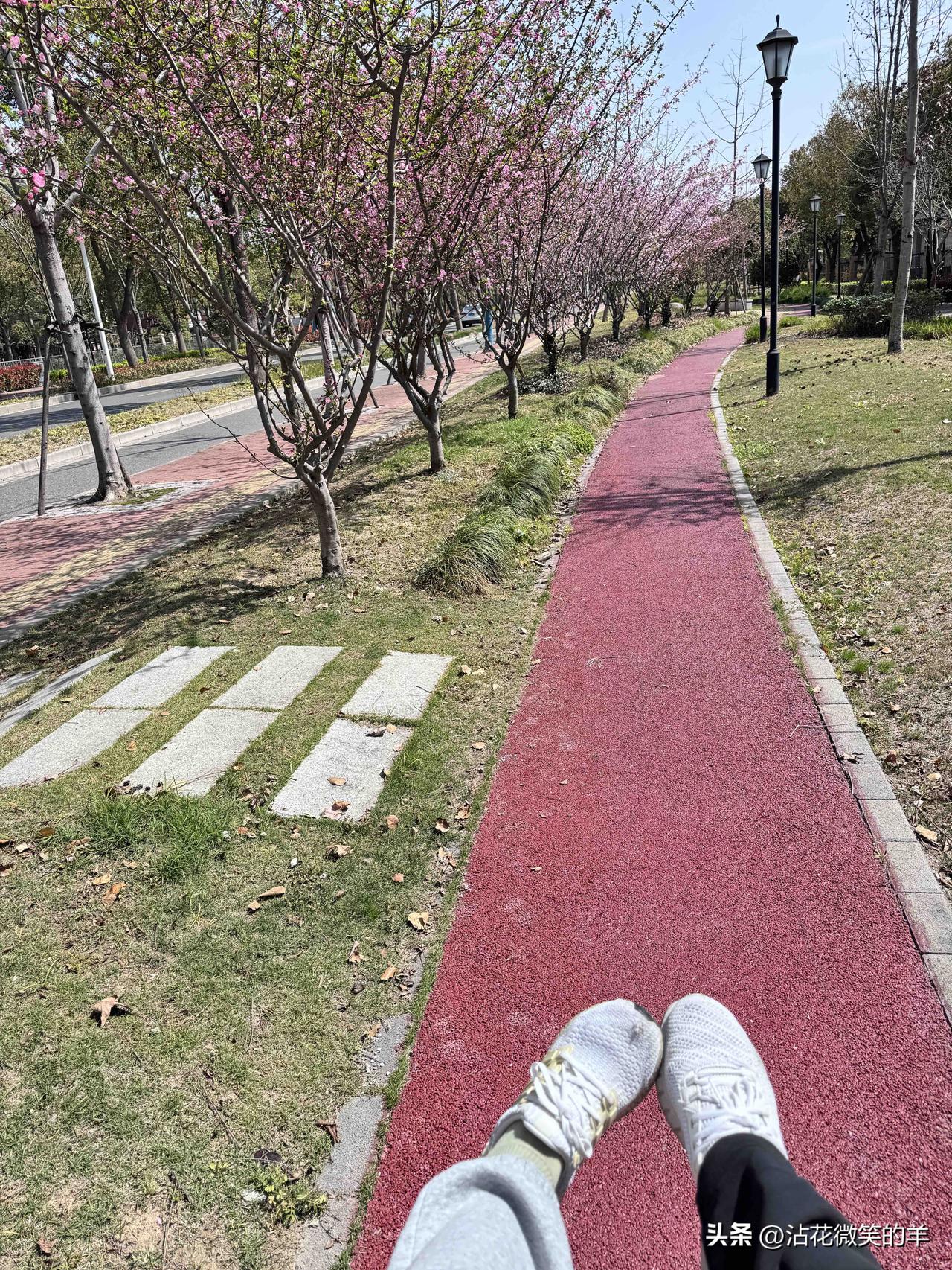 男性寿命比女性短，可能与天生的心率有关系？

我家两个“小老人”，退休后，只要天