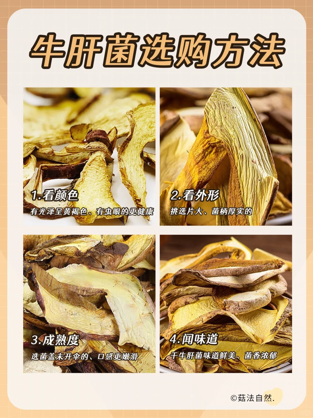 云南野生黄牛肝菌✅营养价值真的高👍