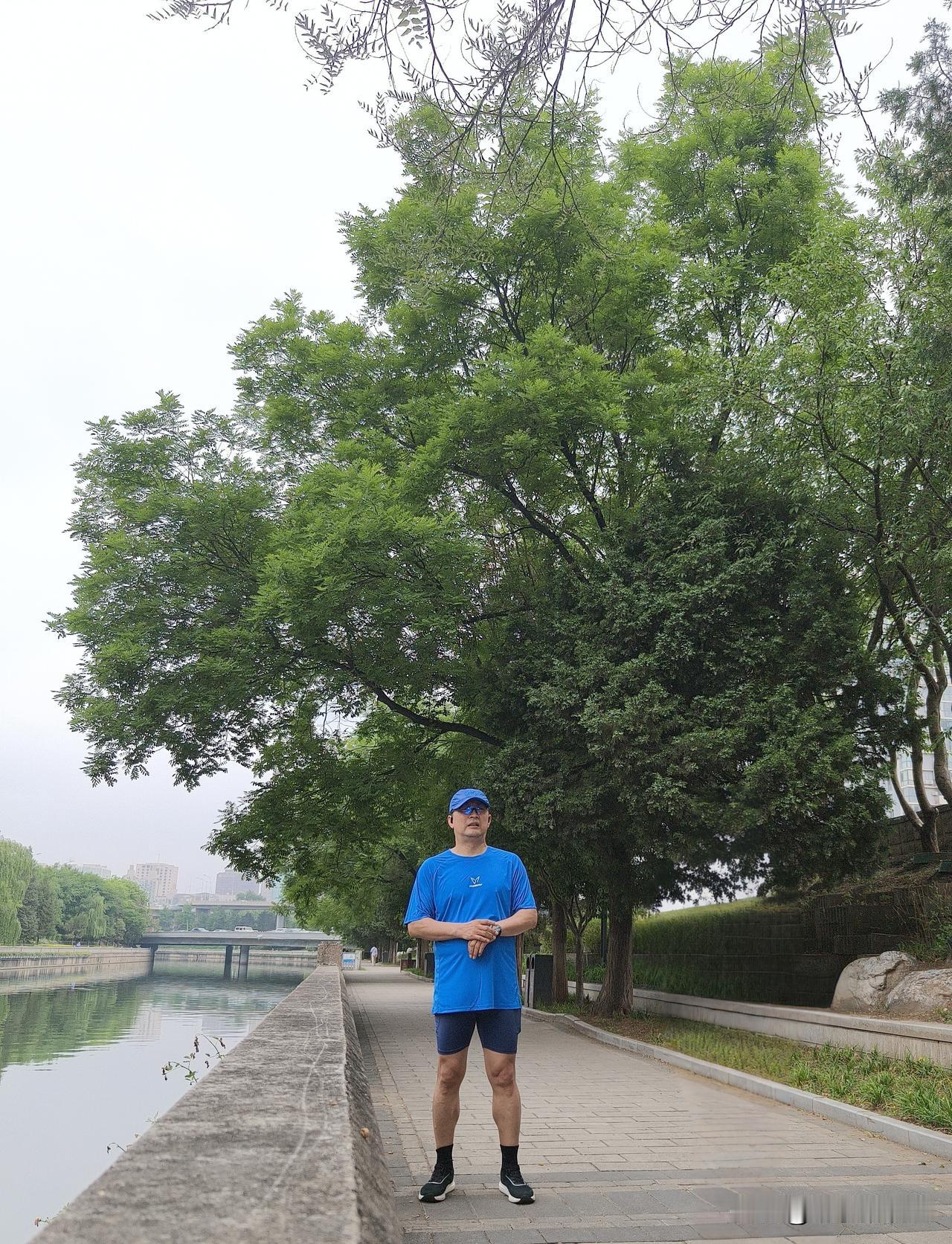 人扎堆的地方，说的话翻来覆去就那么几样。你坐在任何一张饭桌上，听上十分钟，就能把