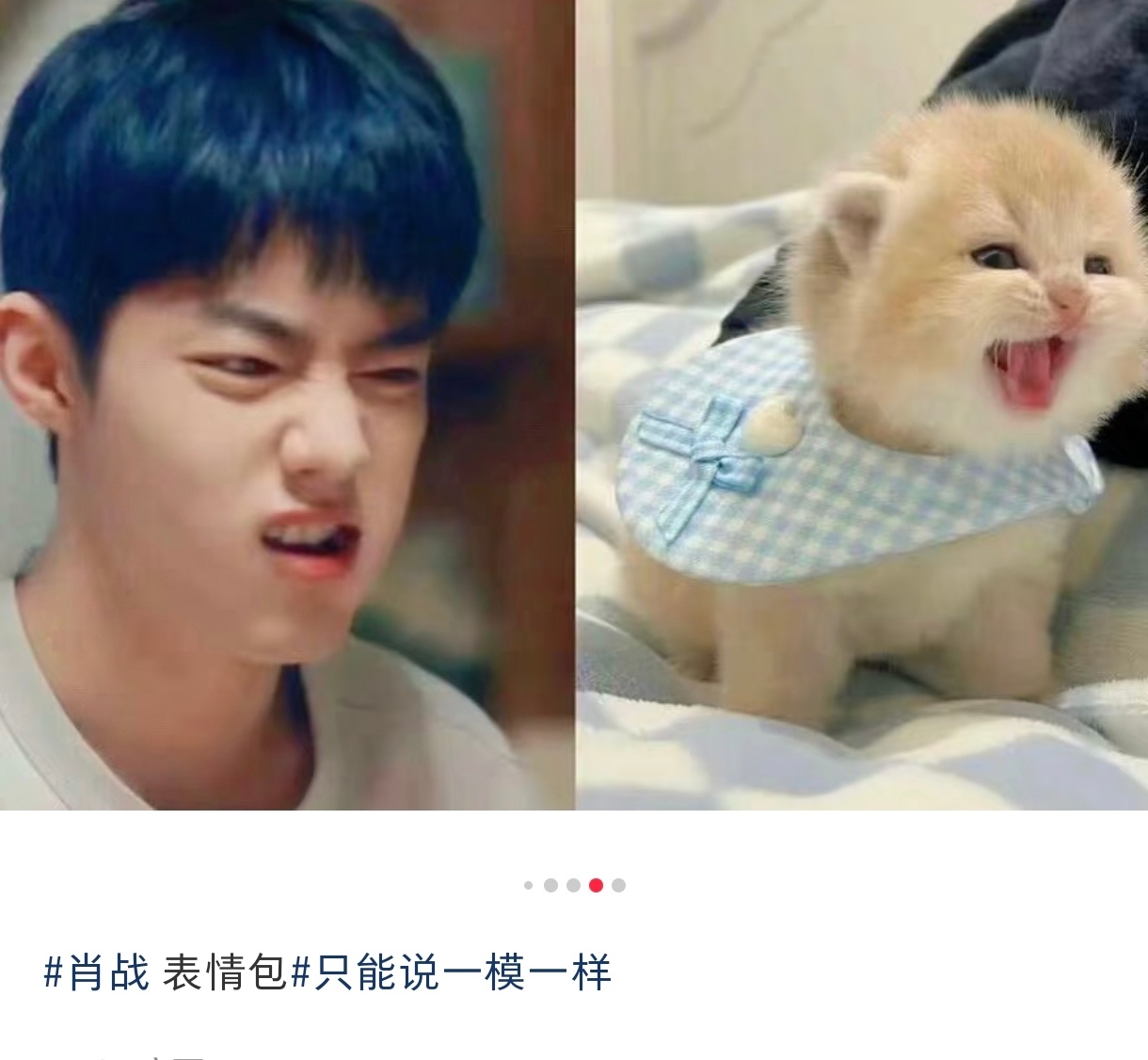 可爱晕晕！！！[可怜] ​​​