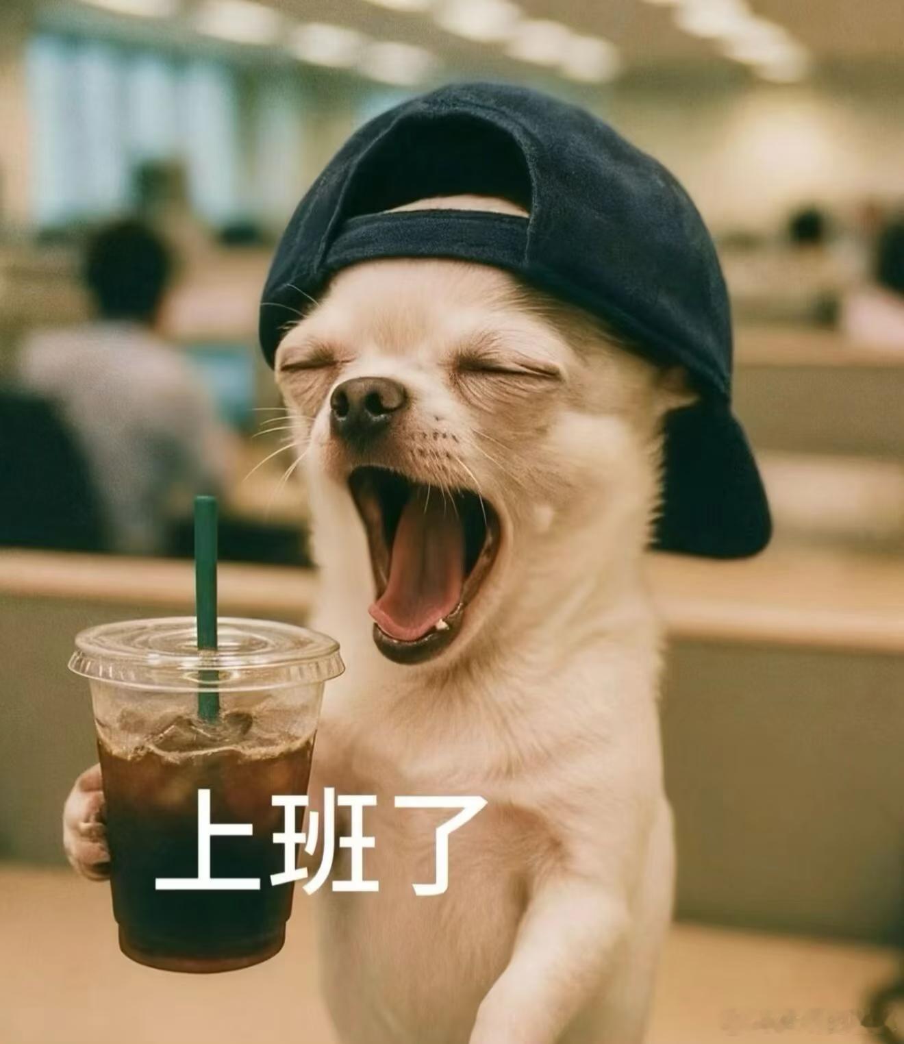 别人的生活，一周五个酒吧。我的生活一周七个早八