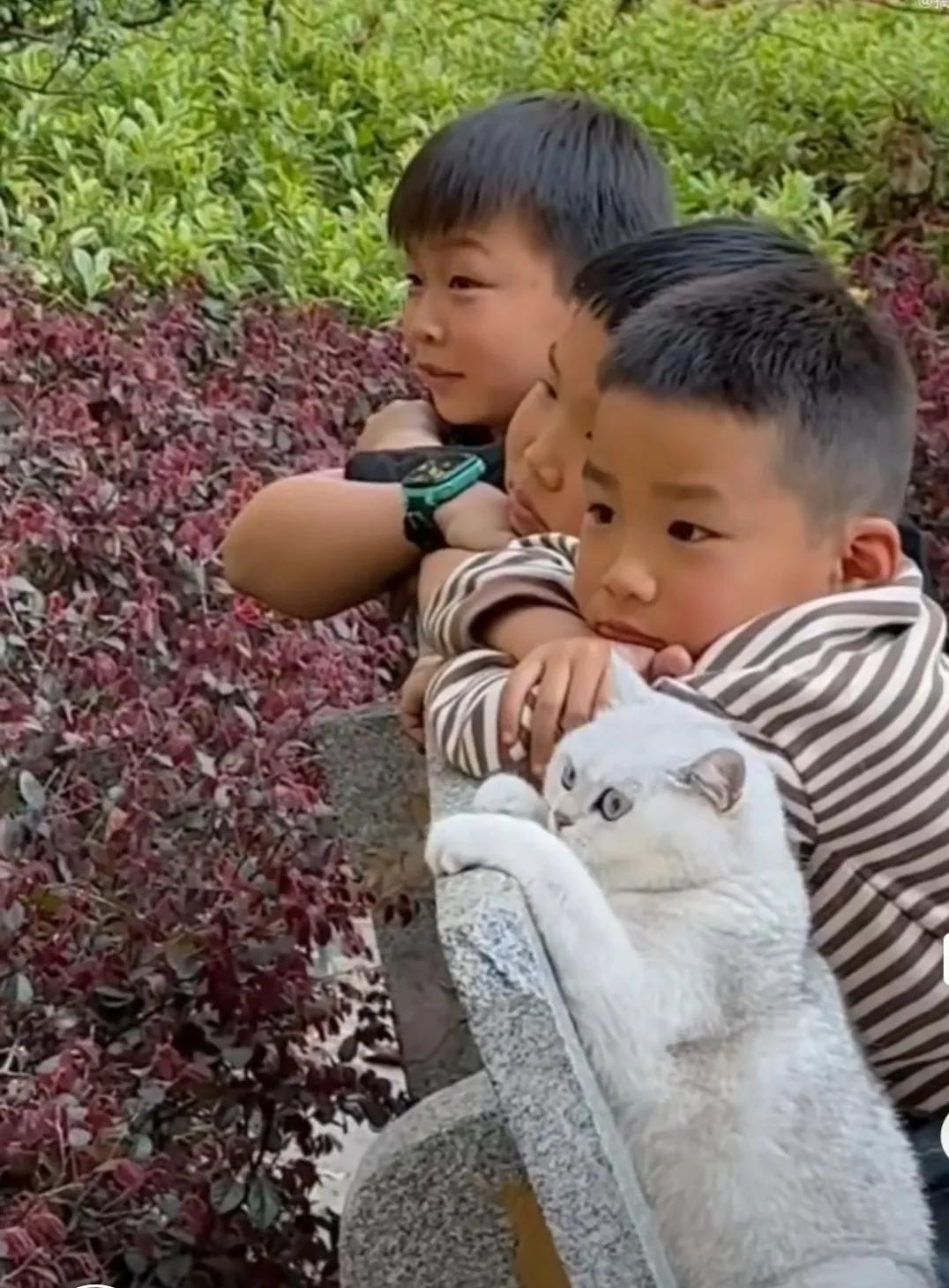 萌娃与猫咪的温馨时光🐱👶🏻👶🏻，同去，童趣。