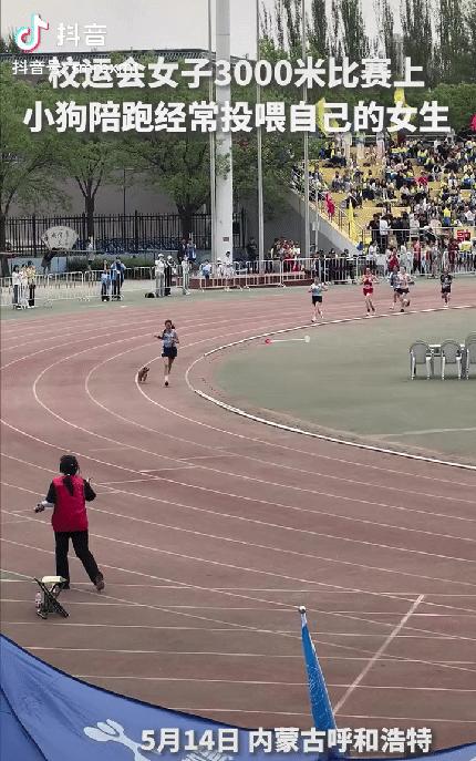 “它连名字都是全校起的！”内蒙古一高校运动会女子3000米决赛冲刺阶段，一只名叫