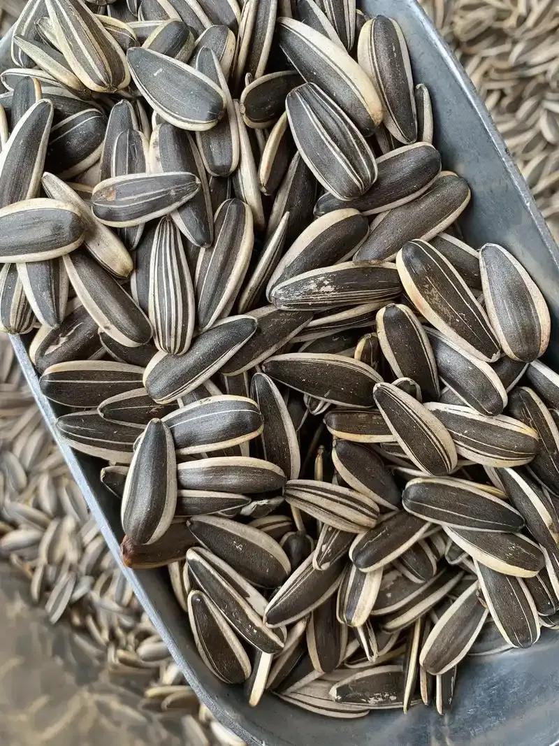 从街边炒货店到资本新贵：51元/斤的瓜子凭啥成商场“香饽饽”？

51元一斤的瓜