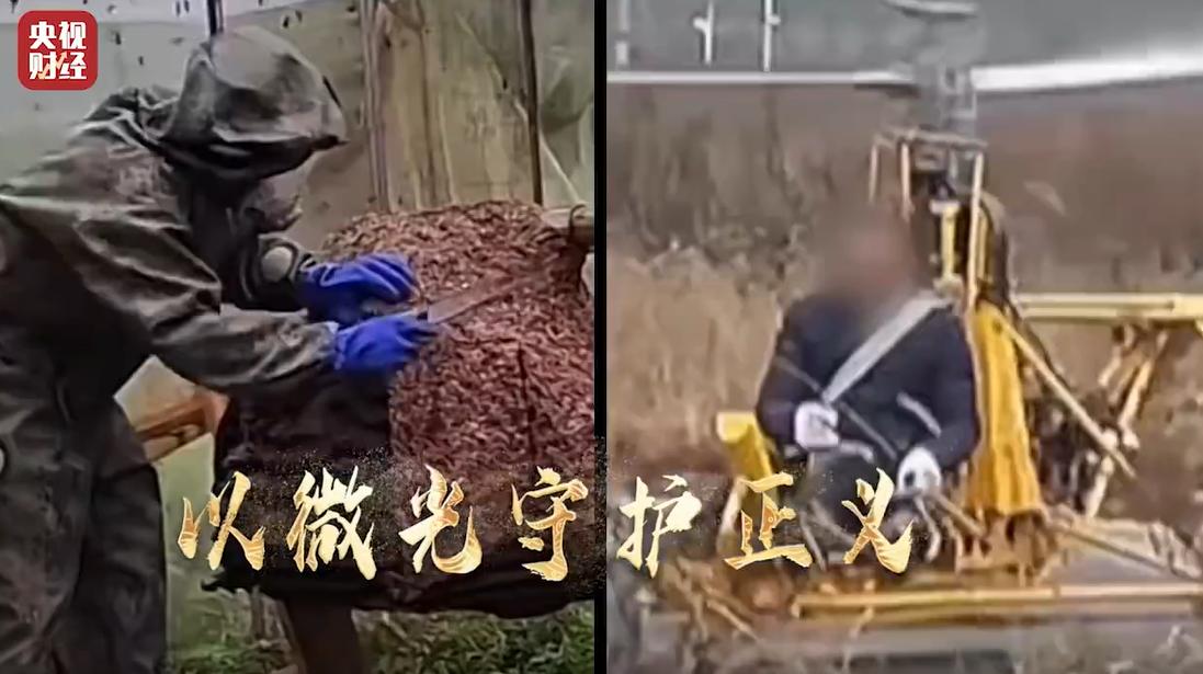 315调查记者小卷在访谈中讲述暗访惊心瞬间：新人记者为调查健康证乱象，一个月内去