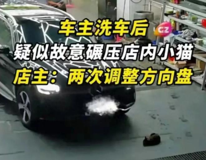 2026年刷屏全网的佛山奔驰车主故意碾压母猫事件，凭借完整清晰的监控画面、当事人