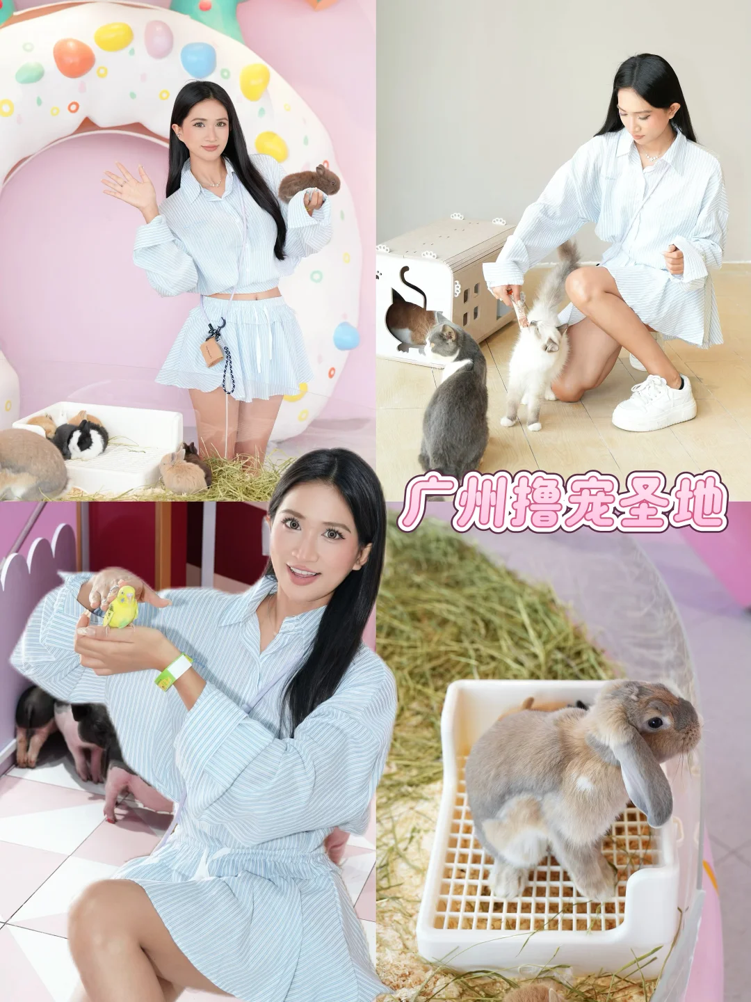 广州撸宠新地标！被萌宠治愈的一天🦦