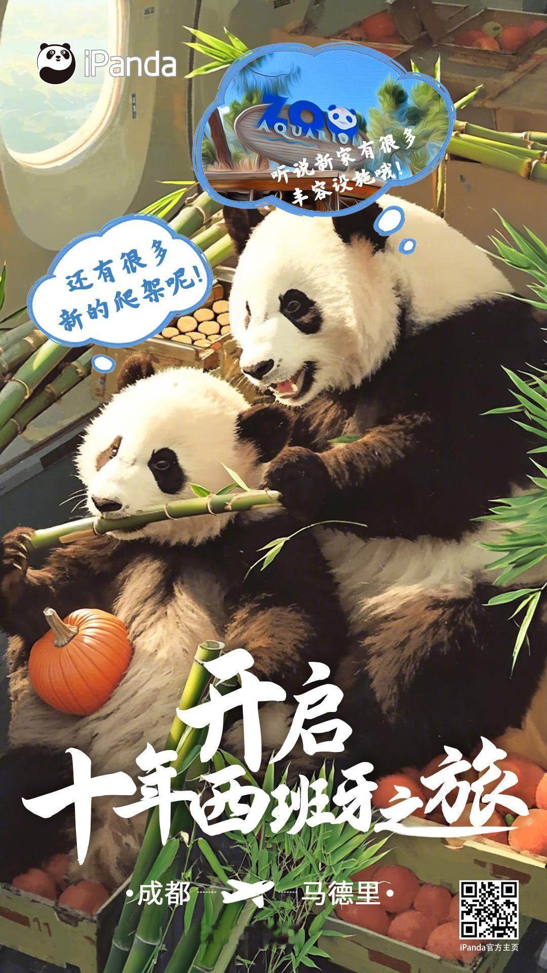 [哇]带上家乡的祝福，踏上充满奇遇的旅途，祝大熊猫“金喜”“茱萸”的西班牙之旅充
