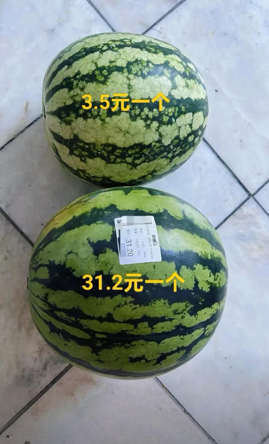 谁知道这两种瓜有什么区别吗？