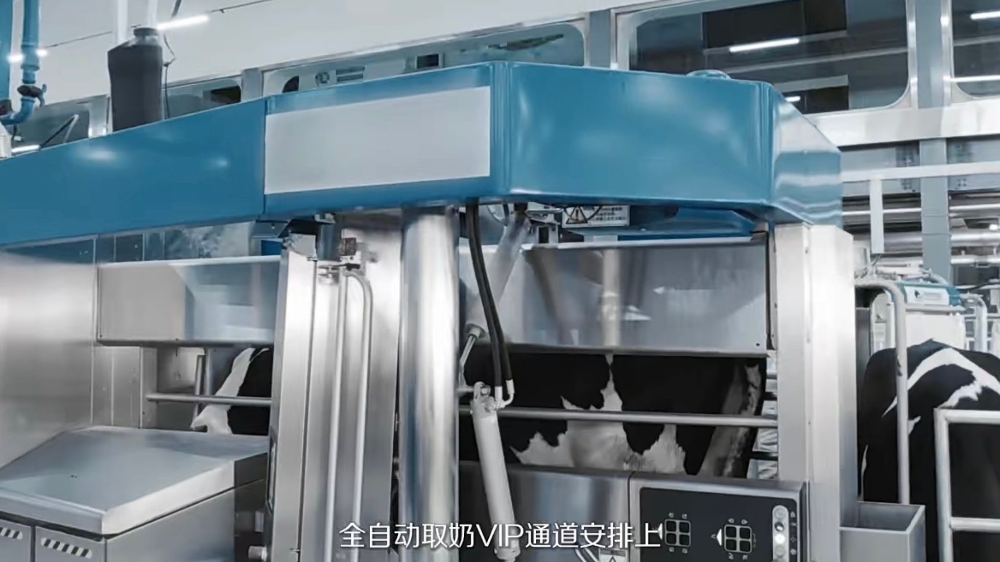 这才是我想要的退休生活 理想退休生活到底长什么样，来敕勒川牧场看看就知道 草原清