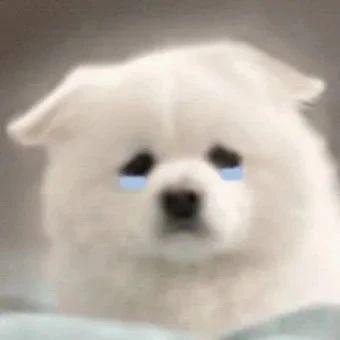 做了一个虐虐的梦 醒来枕头湿了一片梦见我的第一视角是一个高三生 和一个大三的大学