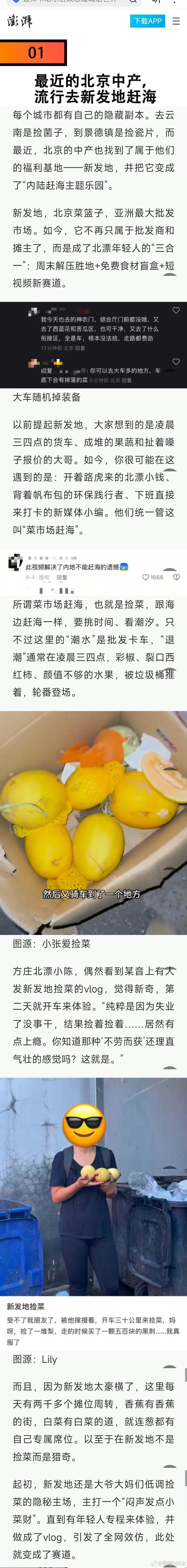 新发地捡菜 ​​​