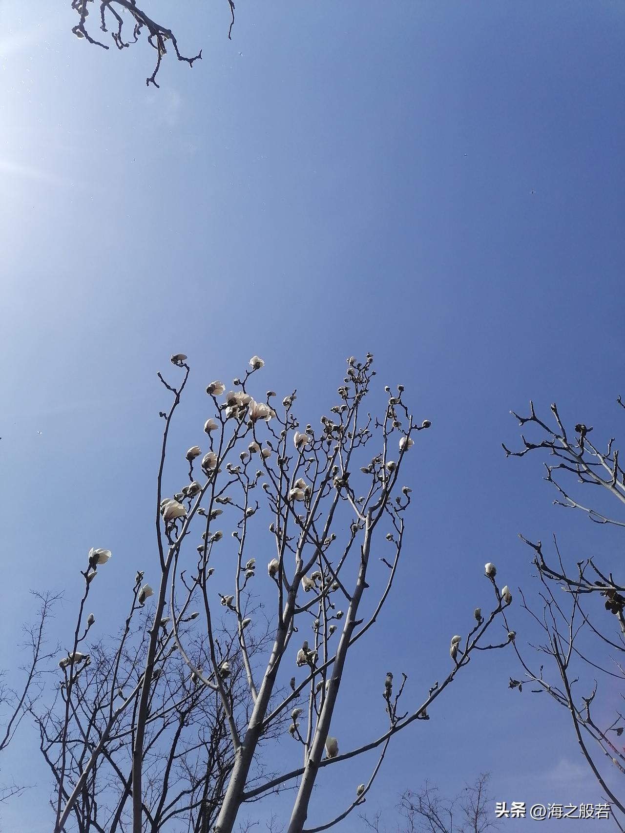 今天是周五，想想都高兴！一路顺利到单位，美好的一天开始啦！

有人提醒我打卡，有