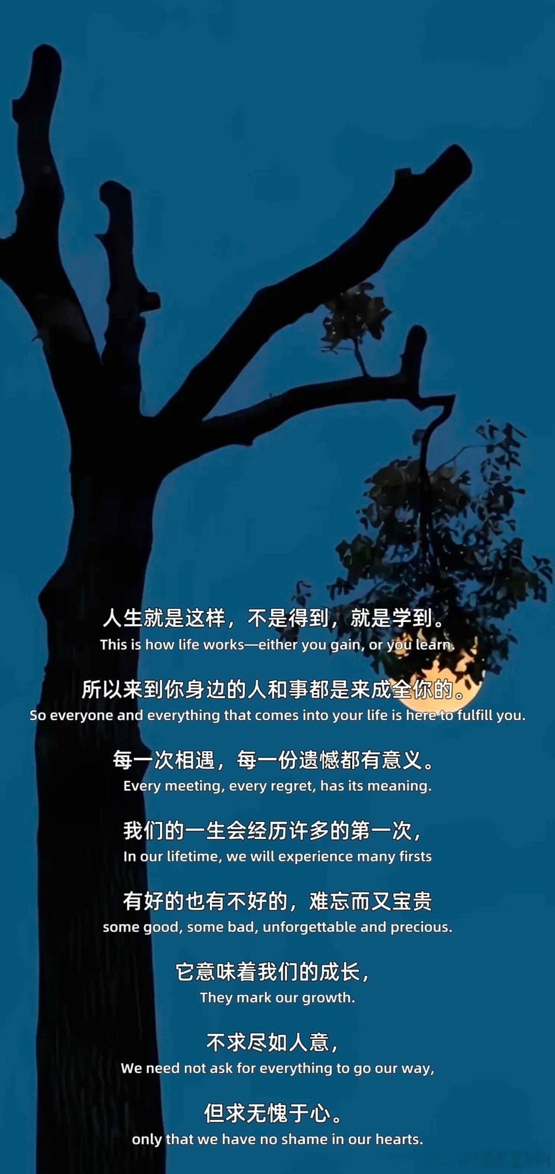 阳光信用[超话]阳光信用 每日一善 我们单枪匹马闯入这世间，只为活出属于自己的所