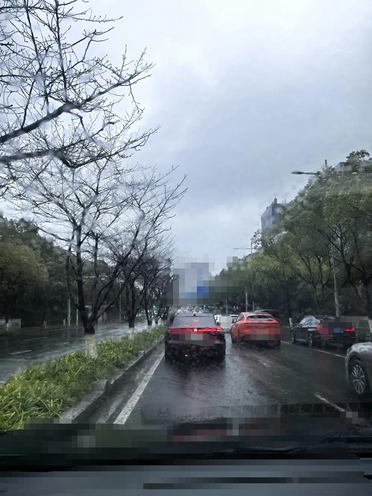 寒意遍染
雨也伶仃
叶亦零丁
人瘦问天平