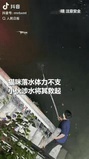 竹竿上的救赎，人性最暖的注脚
上人民日报了！成都，锦江畔上一只流浪猫落水，因为体