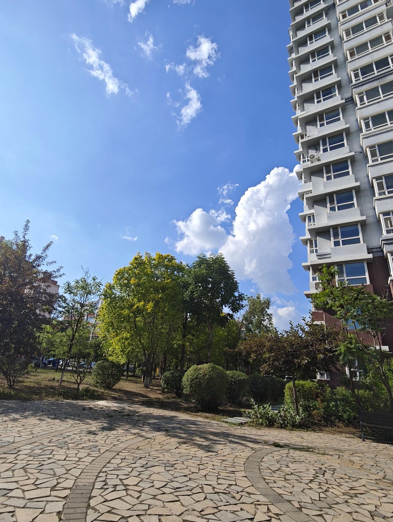 意从容
文/夏文辉

独倚闲窗气自宁，夕阳斜照伴云征。
从容坐赏舒卷态，不究青山
