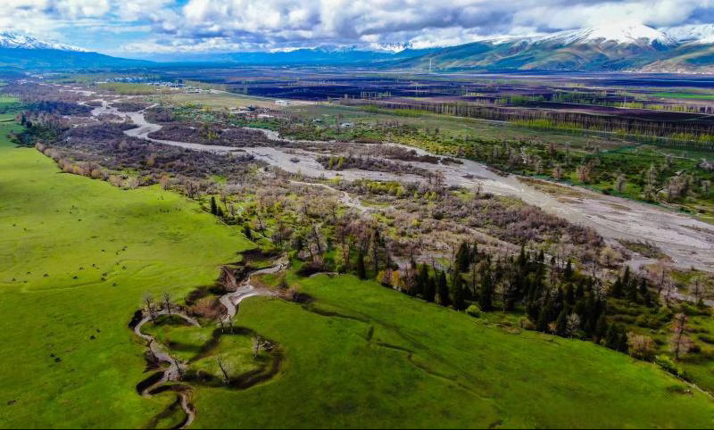 我不建议你们继续做A股，风险和收益不成比例，涨幅太大了。 