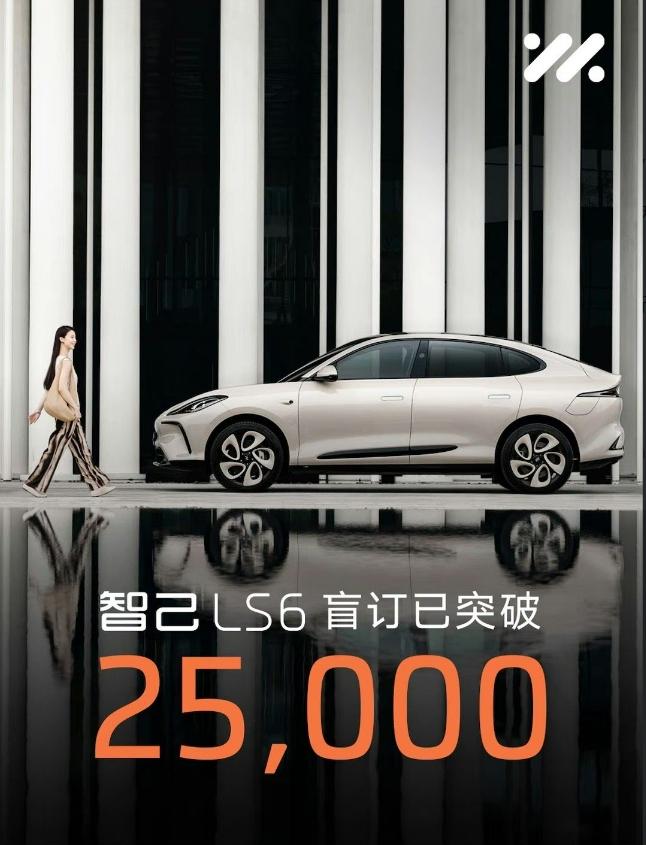 智己LS6盲订订单突破25000台，这是个好消息，接下来，就看转化率了！
作为智