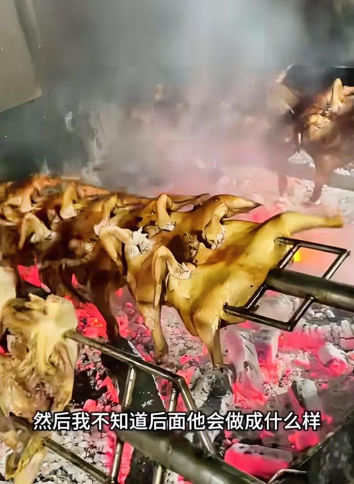 烤鸡少年的扩店计划终止了
被人举报使用“肉宝王”调味料
自己也大大方方承认了
现