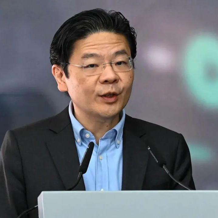 新加坡人特别反感中国人将他们视作“亲戚”，或许他们自己的以华裔身份为耻吧。这些体