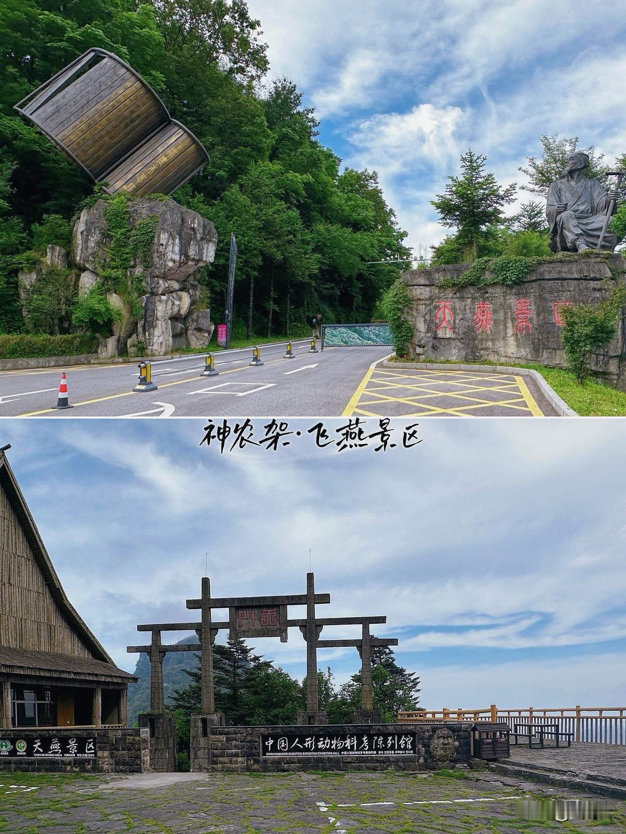 📍神农架飞燕景区

彩虹桥（飞云渡）：在海拔2200米的空中，等一场云海的拥抱