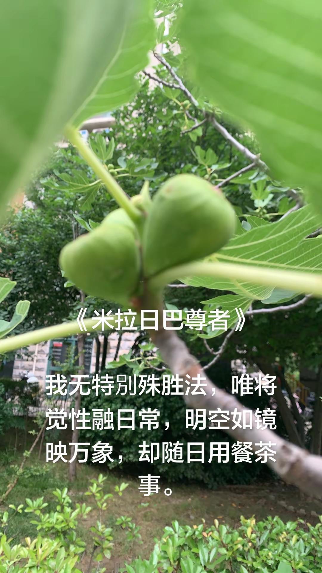 热点榜话题