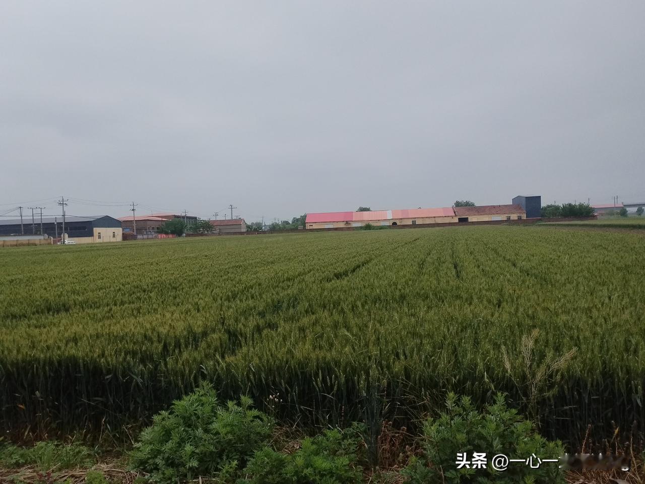 昨天晚上和今天上午降雨，全县平均降雨量34.1毫米，最大的降雨量为44.9毫米，