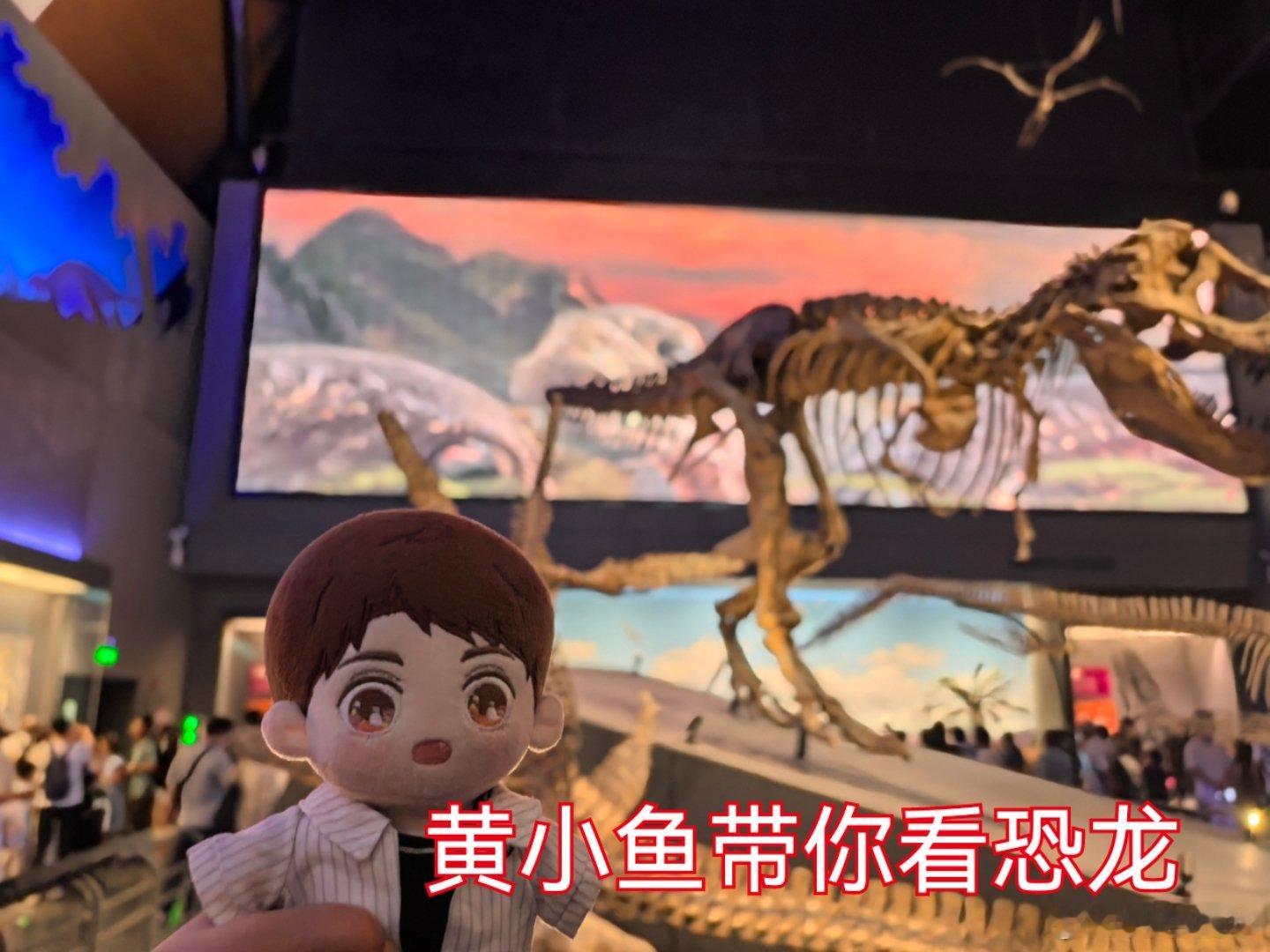 黄小鱼带你看恐龙。 ​​​