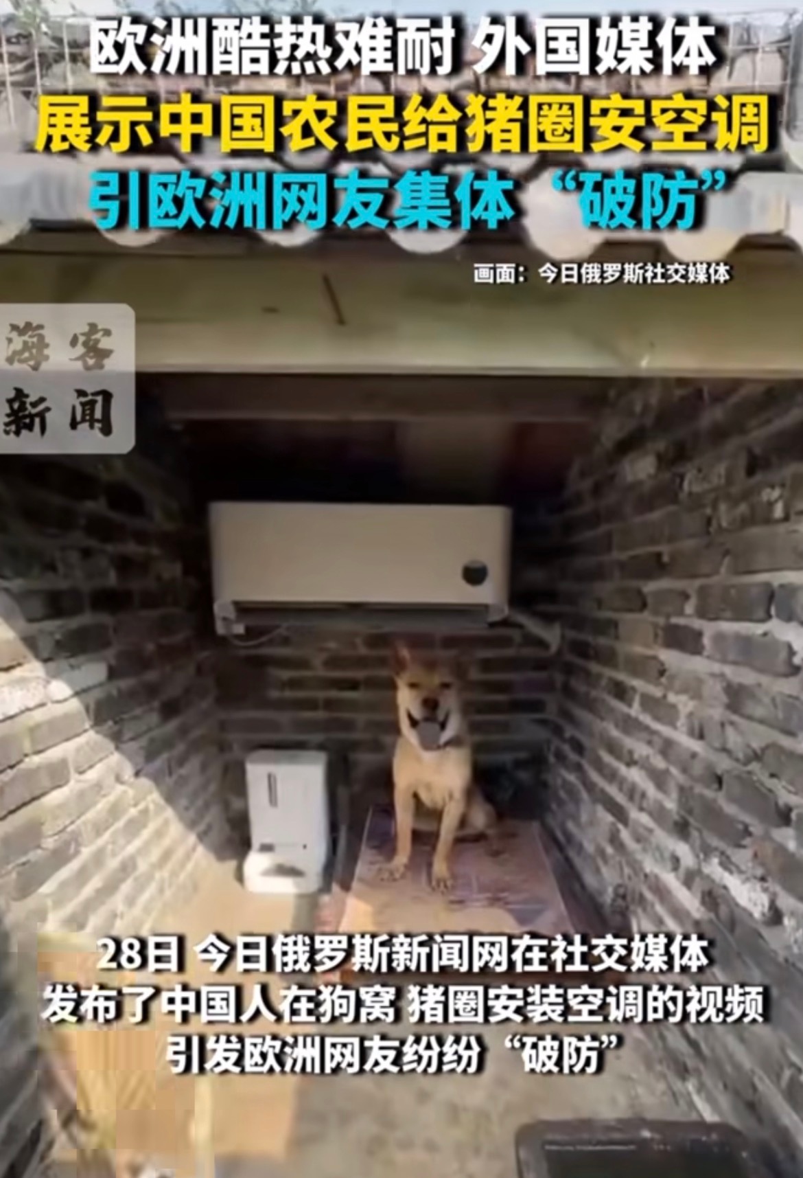 看到欧洲网友因为中国猪圈装空调而“破防”，真是让人哭笑不得又深思。当法国女子吐槽