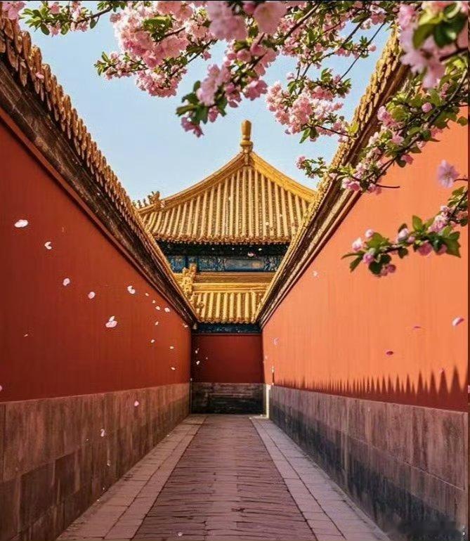 老祖宗的审美在故宫具象化了 看到了故宫的东方美学，真的是太漂亮了吧，老祖宗的审美