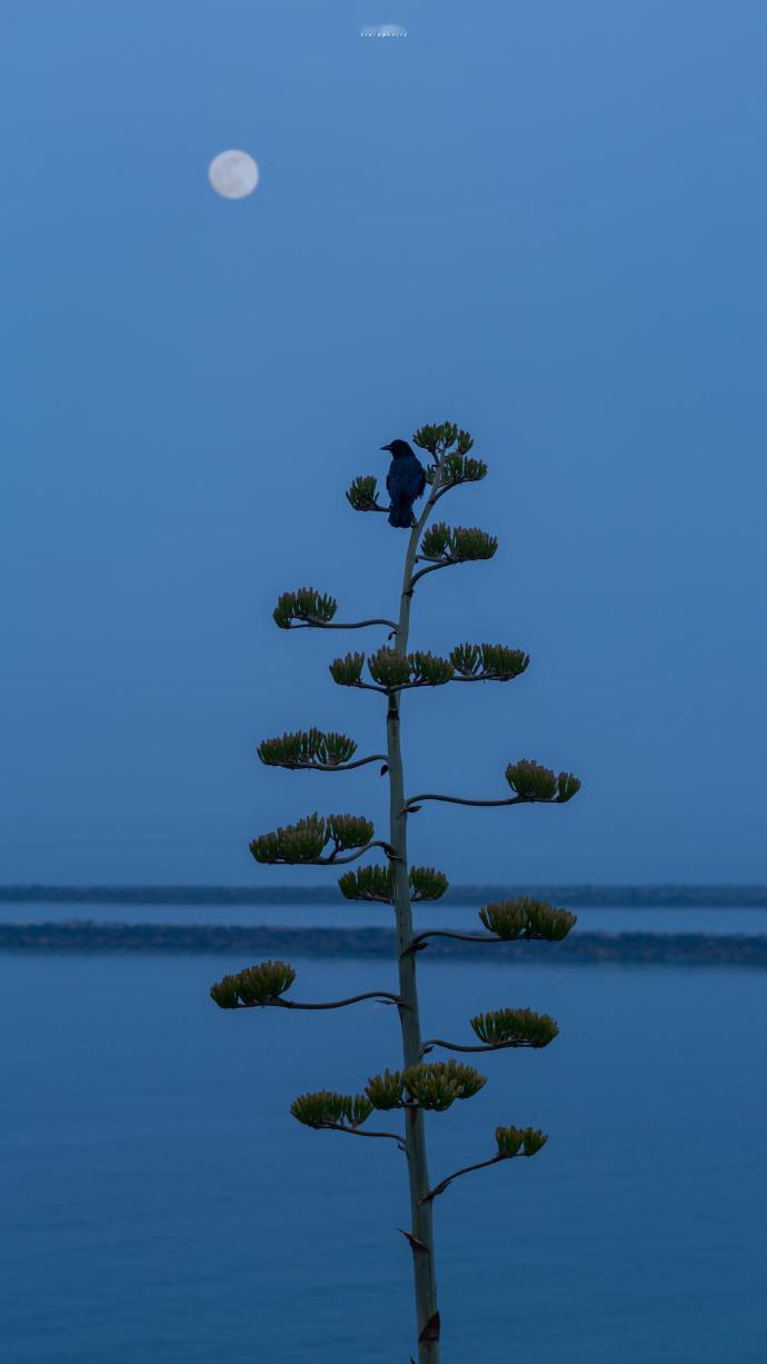 外界可以干扰到你的，都源于你身体里那些还没有对自己诚实的部分。｜尼采 我的私人宝